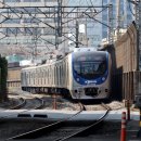 H1157 이미지