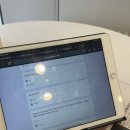 애버그린 이미지