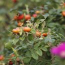 포항수영장 이미지