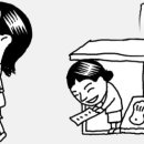 단무지과일