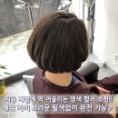 봄날애헤어 - 남구 남구 | 봄날애헤어