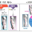 바른체형 이미지
