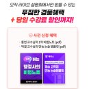 스타행정사 이미지