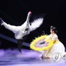 창작공연행사 이미지