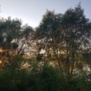 대저수문공원 이미지