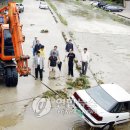 대전해수욕장1 이미지