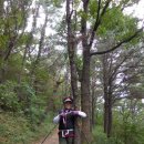 태백수산2호점 | 금정산 둘레길5구간(화명정수장~만덕종합사회 복지관)11km