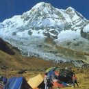 안나농원 이미지