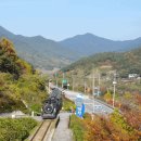 가정역(섬진강출렁다리) 이미지