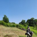 (재)팔당공원묘원 이미지