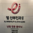 엘산부인과의원 | 임신준비기록4 | 임신 사전건강관리 지원사업 산전검사 - 초음파, 난소나이검사 (엘산부인과)