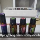 부산진구 가야 청소년센터 이미지