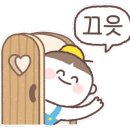 텐트세탁연구소 이미지