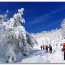 2012년 세째주 선자령 눈꽃산행및평창눈꽃축제.. 이미지