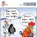 [2011/01/13] 이미지