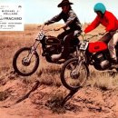 리틀파우스 이미지