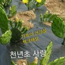 순화궁로 이미지