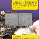 송백로-3 이미지