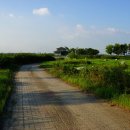 비봉인공습지 이미지