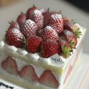 나달케이크 | [신당] 생과일듬뿍 생크림케이크 나달케이크(NADAL Cake) 내돈내산 후기(+장단점)
