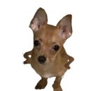 어제(토요일) 서울일러스트레이션페어 다녀온 눈아 잇념?! 이미지