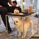 카페 마틸다(cafe matilda)