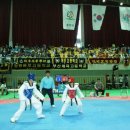 경희대 신아태권도 이미지