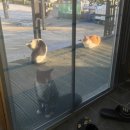 팔영미라클 이미지