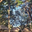 사계절칼국수 이미지