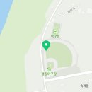 코스모스축제장 제방 이미지