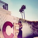 스프링팜코리아 이미지