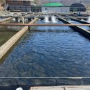 옥동양어장 횟집 이미지