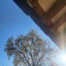 화운정 | 안씨고택