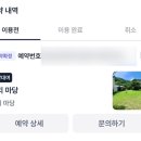강아지랑 놀기 좋은 장소 : [포동 멍래블] 체리 마당 feat. 마당 대여 후기