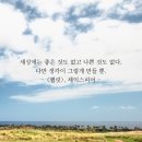 신풍동 262-3 ~ 신풍동 282-2 (우리문구) | 따귀맞은 영혼과 함께한 마음의 길 거닐다 2기 후기