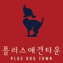 간석3동-60 | 동암강아지분양 토이푸들 분양해요^^*