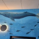 풀 스테이 마돈나 이미지