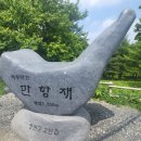 ＜다녀옴＞ 8월7일(일) 태백 백만송이 해바라기축제 + 함백산 만항재 야생화 이미지