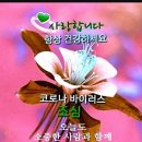 조용석 카카오 검색결과