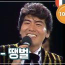 땡벌~ 이미지