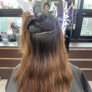 헬시체인지 이미지