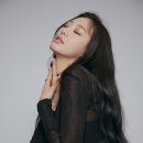 케익은! 이미지