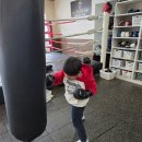 골든보이 복싱짐 이미지