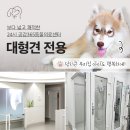 손 동물병원 이미지