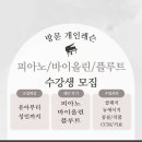 (1:1레슨)바이올린 개인레슨(30분) 이미지