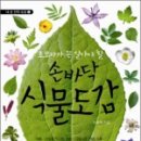 식물도감 이미지