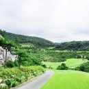 다산클린