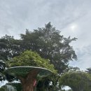 카페힐(CAFE HEAL) | [카페] 싱가포르 뎀시힐 ps cafe 브런치 먹은 후기