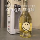 시흥프리미엄아울렛 와인앤모어 방문후기 (ft. 스마일리 므왈레)