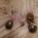 사랑마음이네 이미지